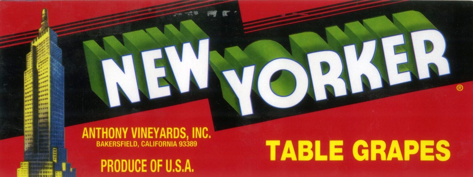 New Yorker